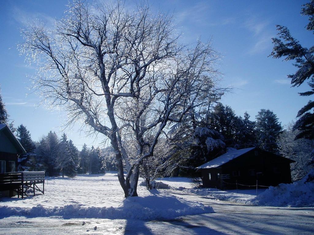 Bondi Village Cottage Resort Lake of Bays Luaran gambar